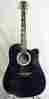 00000 Celestial Night Esteban Acoustic-electric Guitar With Case And G-10 Amp Dvds