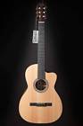 000cnylon Martin 000c Nylon Special 729789411226