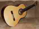 008 2014 El Vito Breathtaking Standard S Luthier Made High Grade Classical Guitar