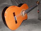 086-2018 El Vito Simply Amazing Concert Ts Cutaway Solid Indian Rosewood