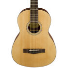 0961170121 Fender Scale Acoustic Guitar Bag