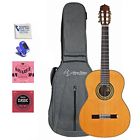 10775053 Kennedy Violins Antonio Giuliani Rosewood Classical Guitar 746704819882