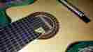 11-string Bartolex Alto Guitar 11s Spruce Top Sound Port Case