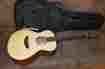 14118052 Breedlove Passport Traveler Acoustic Guitar
