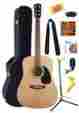 19285 Fender Acoustic Guitar Bundle Beginner Starter Pack Full Size Hard Shell Case Stand New 708981419285