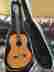 1937 Manuel Rodriguez E Hijos Model A Classical Guitar W Hard Case