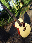 C200 22.75 Breedlove Passport Sme A E Travel Sized Scale Gig Bag
