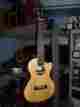 22t-ce Cordoba Tenor Ukulele Solid Spruce Top Cutaway Electric Uke