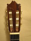 2810 Ibanez Classical Guitar Solid Maple Japan Near Mint