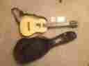 3061 First Act Guitar With Case Fg