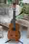 5004 Alvarez Classical Guitar With Pickup Hard Shell Case