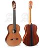 55th Alhambra Anniversary Classical Profesional Classic Guitar Case