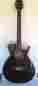 6273 Daisy Rock Guitar Model