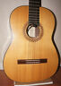 650-50 Fame Darren Hippner Classical Guitar Spruce Indian With Pickup System