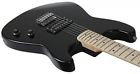 87867 Davison Guitars Full Size Electric Guitar Amp Case 7426831787867