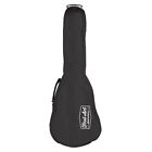 9188c9b2 First Act Discovery Guitar 607266020287