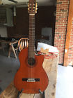Ac60sc Alvarez Artist Classical Guitar