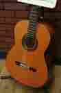 Ac65 Alvarez New Classical Nylon String Spanish Guitar Artist Series