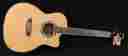Ag20ce Washburn Acoustic Electric Cutaway W Hard Case Professionally Setup