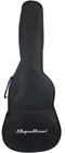 Ail Agx Spectrum Acoustic Guitar 858389000247