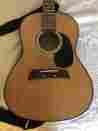 Al461 First Act 222 Al361