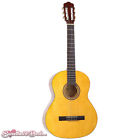 Am50-u Amigo Am50 Spruce Top 611534008594
