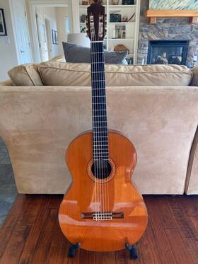 Ac75 Aria Cb Classical Bass Guitar-acoustic Electric Made In Spain Rare