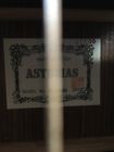 Asturias No Standart Mij With Hard Case