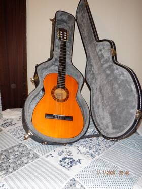 Austin 396n Accoustical Guitar With New Tuning Pegs And Carry Case