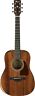 Aw54jr-opn Aw54jr Ibanez Artwood Dreadnought Junior Acoustic Guitar Open Pore 4549763062789