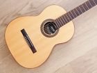 Awn-100 Giannini Vintage Nylon String Classical Guitar Brazilian Rosewood