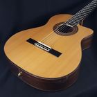 Bwsm-30-66 Ortega Limited Ben Woods Signature Model Classical Guitar Bwsm Spain