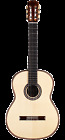 C10-sp-in Cordoba All Solid Wood 809870046817
