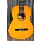 C40-a Washburn Guitars C40 Classical 801128273723