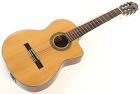 C64ce Washburn Nylon String Classical