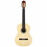 Ccg1m 14 Cordoba Protege Classical Guitar Size