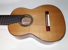 Cg125-el Cathedral Guitars Classical Harp Guitar Pickup