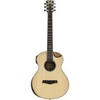 Cl-3e Cl3e Sps Traveler Guitar Compact Satin Natural 851885008236
