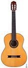 Cr-100 Guitar Salon Studio Series
