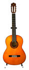 D-10n Washburn Acoustic Guitar Model