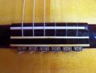 D2bbg Rosette Diamond Secure Classical Guitar String New Gold 087169742569