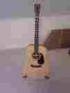 D2ha Collings Accoustic Guitar