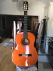Dc-103 Orfeo Guitar