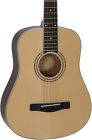 Dj120 Mitchell Travel Size Dreadnought 656238039062