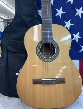 Dcg-1 Donner Donnor Classical Guitar With Gig Bag Free Shipping