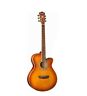 Ea15itb Washburn Mini Jumbo Guitar Ice Tea Burst 801128613208