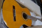 Eec-240 Estrella Guitar