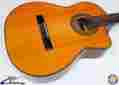 Eg124c Takamine G Series Cutaway Acoustic-electric
