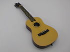 Fad0137 First Act Discovery Acoustic Guitar Starter Pack 843433100332