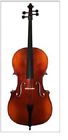 Fc-120  Florencia Cello String Bass Musical Instrument Violin Group Case And